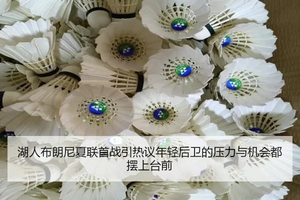 湖人布朗尼夏联首战引热议年轻后卫的压力与机会都摆上台前